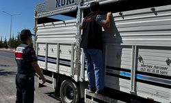 Uşak'ta şap hastalığı nedeniyle araçlarda sıkı denetim