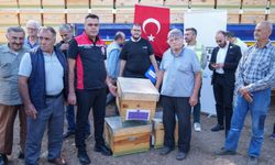 İzmir'de yangından etkilenen bölgelerde arı kovanı dağıtıldı