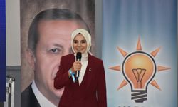 Bakan Göktaş, Afyonkarahisar'da AK Parti Kadın Kolları İl Danışma Meclisi toplantısında konuştu