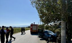 Aydın'da trafik kazasında 1 kişi öldü
