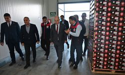 Denizli'nin narı kalitede İsrail narını geçti!