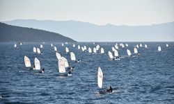 Bodrum Ticaret Odası 13. Bodrum Uluslararası Optimist Yarışları bitti