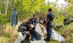 İzmir'de 66 düzensiz göçmen yakalandı, 29 düzensiz göçmen kurtarıldı