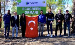 Ecogreen Enerji Denizli'de 2 bin fidanlık ormanı doğaya kazandırdı
