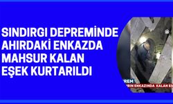 Sındırgı depreminde yıkılan ahırda kalan eşek kurtarıldı