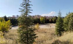 Uşak'ta şarapçıların mekanı haline gelen bölgeyi kurtaracak adım!