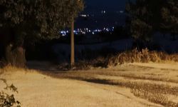 Uşak'ın komşusu Selendi'nin Kınık Mahallesini dolu vurdu