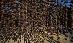 Cennet hurması, İzmir Ödemiş'te üretilip kurutularak satılıyor