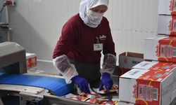 Afyonkarahisar'da devlet desteği alan şirket, leblebi kremasını yurt dışına gönderiyor