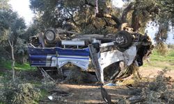 İzmir'de kamyonet ağaç ve aydınlatma direğine çarptı, 1 yaralı!