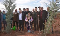 Banaz'da 11 bin fidan toprakla buluştu