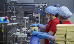 TKDK destekleri İzmir'deki süt işletme tesisilerini güçlendiriyor