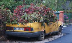 İzmir'de 8 yıldır aynı yerde duran otomobili doğayla birleşti