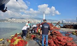 İzmir'de midyeye de kaçak karıştı! 27 ton midye ele geçirildi!