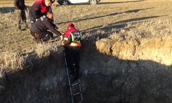 Koyunbeyli'de kuyuya düşen keçi kurtarıldı
