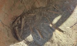 Denizli'de arazide insana ait kemik parçaları bulundu
