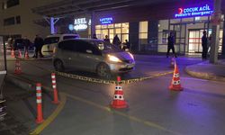 Kütahya'da arazi kavgasında dayı yiğenini vurdu