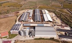 Tarım Orman Gençlik Konseyi, gençleri tarıma çekmeye çalışıyor!