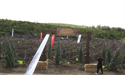 İzmir'de 310 bin fidan ALJ Türkiye'nin projesiyel toprakla buluşturdu