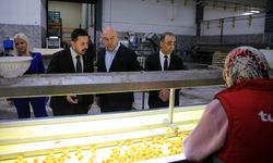 TKDK, Türkiye genelinde 5 milyar avrulok yatırım desteği verdi