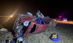 Afyonkarahisar'da otomobil şarampole devrildi, sürücü öldü