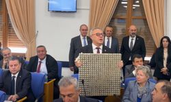 CHP Uşak Milletvekili Ali Karaoba ve oğlu, 485 adet 1'er TL'lerle bir tablo hazırladı!