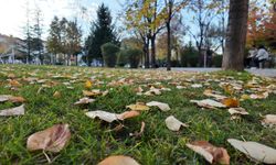 Uşak'ın işlek yeri Atapark'ta sonbahar güzelliği! Çemberin dışındaki curcuna bu güzelliğin önüne geçebiliyor!