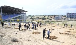 Uşak Üniversitesi'nden fidan dikimi!