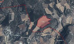 Uşak'ta 61,5 dönümlük tarla jeotermal sera için aylık 100 bin TL'ye kiraya veriliyor