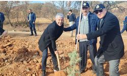Uşak'ın Banaz ilçesine bağlı Bağkonak köyünde fidan dikilecek