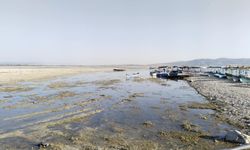 Uşak'ın komşusu Çivril'deki Işıklı gölünde bulunan balık ve diğer canlı türleri için alarm zilleri çalıyor