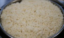 İspala pirinci AB'den coğrafi işaret aldı