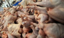 Uşak'taki bazı işletmelerden son kullanma tarihi geçen 450 kilo tavuk yakalandı