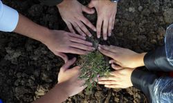 Milli Ağaçlandırma Günü'nde çifte rekor !