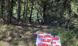 Uşak'ın Banaz ilçesinde kesilen cezalarda kanun neyse o uygulandı!