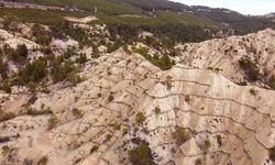 Orman işçileri erozyona karşı çalışyorlar!