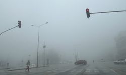Denizli'de sis hayatı olumsuz etkiledi