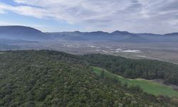 İzmir'de içme suyu barajlarında alarm!
