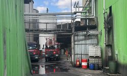 Afyonkarahisar'da yağ fabrikasında çıkan yangın söndürüldü