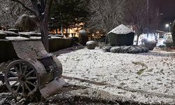 Afyonkarahisar'da dün akşam kar yağışı etkili oldu