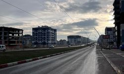 Uşak'taki bu caddelerin ortasına ağaç dikilmesi isteniyor