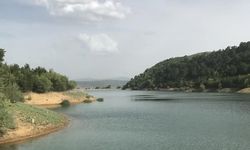 Uşak Banaz Kozviran göletindeki olta balıkçılarına ceza şoku!