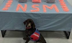 Denizli'de jandarma yasaklı madde operasyonu düzenledi; 1 tutuklu!