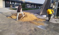 Uşak'ta yolları bozuk olan esnaf, kendi göbeğini kendi kesiyor