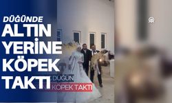 Çivril'de evlenen Muammer ve Tuğba Akçümen çiftine altın yerine köpek taktı