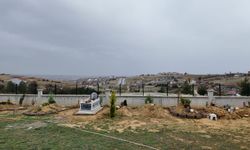 Uşak'ta mezarlığın dibine hayvan barınağı yapılmasına tepki