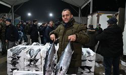 Yağışlı havanın bereketi denize yansıdı! Bollaşan toriğin fiyatı yüzde 50'nin de altına düştü!