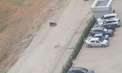 Uşak'ta sert esen rüzgar, demir çöp varillerini uçurdu!