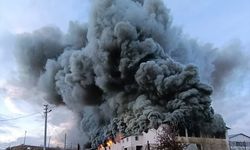 Uşak Eşme Yeleğen'deki tavuk çiftliğinde yangın