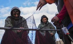 Karadeniz'de hamsi Ege'de sardalya yüz güldürdü